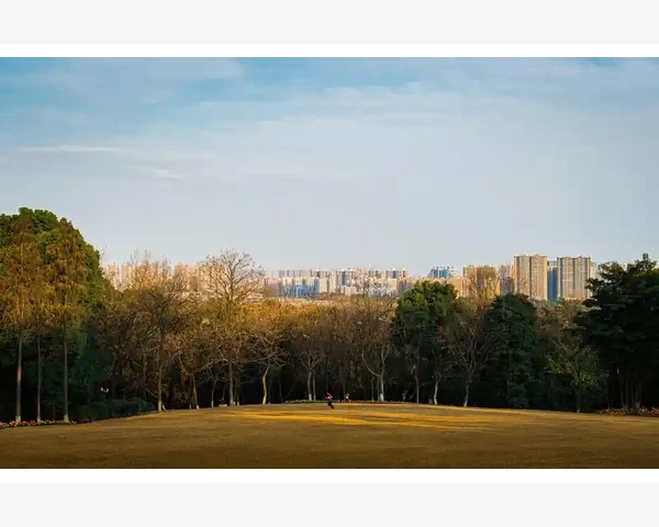 秋季湿气重，吃这些蔬菜养生更有效！