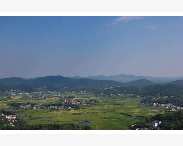 影响受孕的咳化痰问题——中医科普
